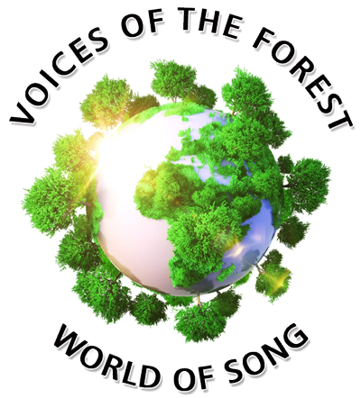 world-of-song-front-cover-transp400